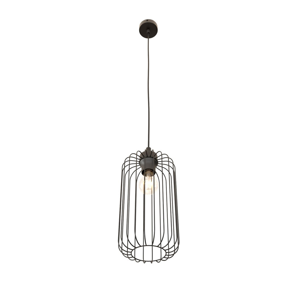 VANDER 1-Lichts Industriële Hanglamp – Zwart