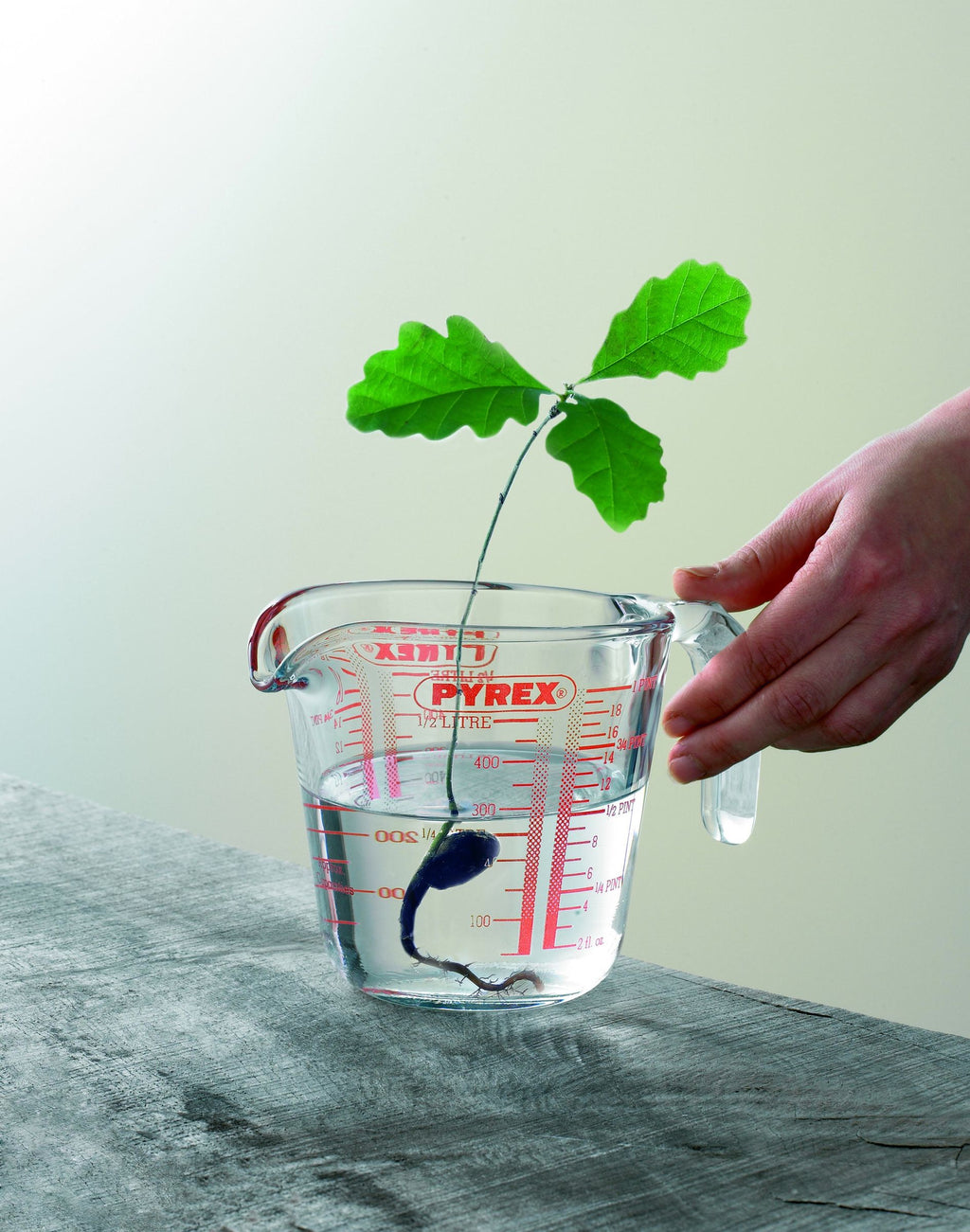 Pyrex Classic Prepware Maatbeker 0,5L (Set van 3)