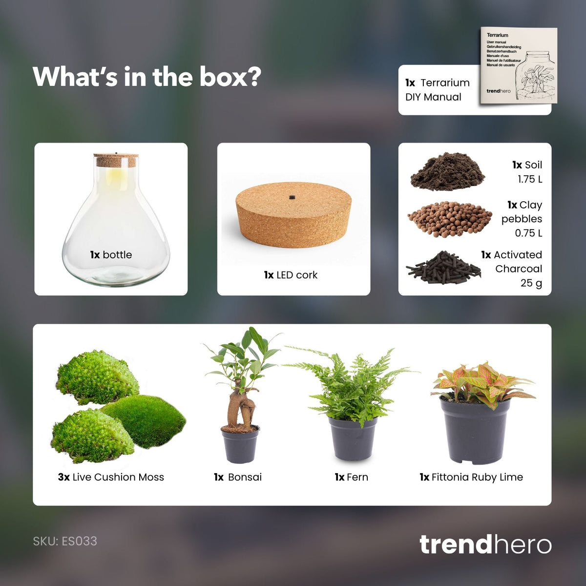 Sam XL Bonsai - Terrarium with light - Bottle garden DIY kit - Ø 30 cm ↑ 32 cm