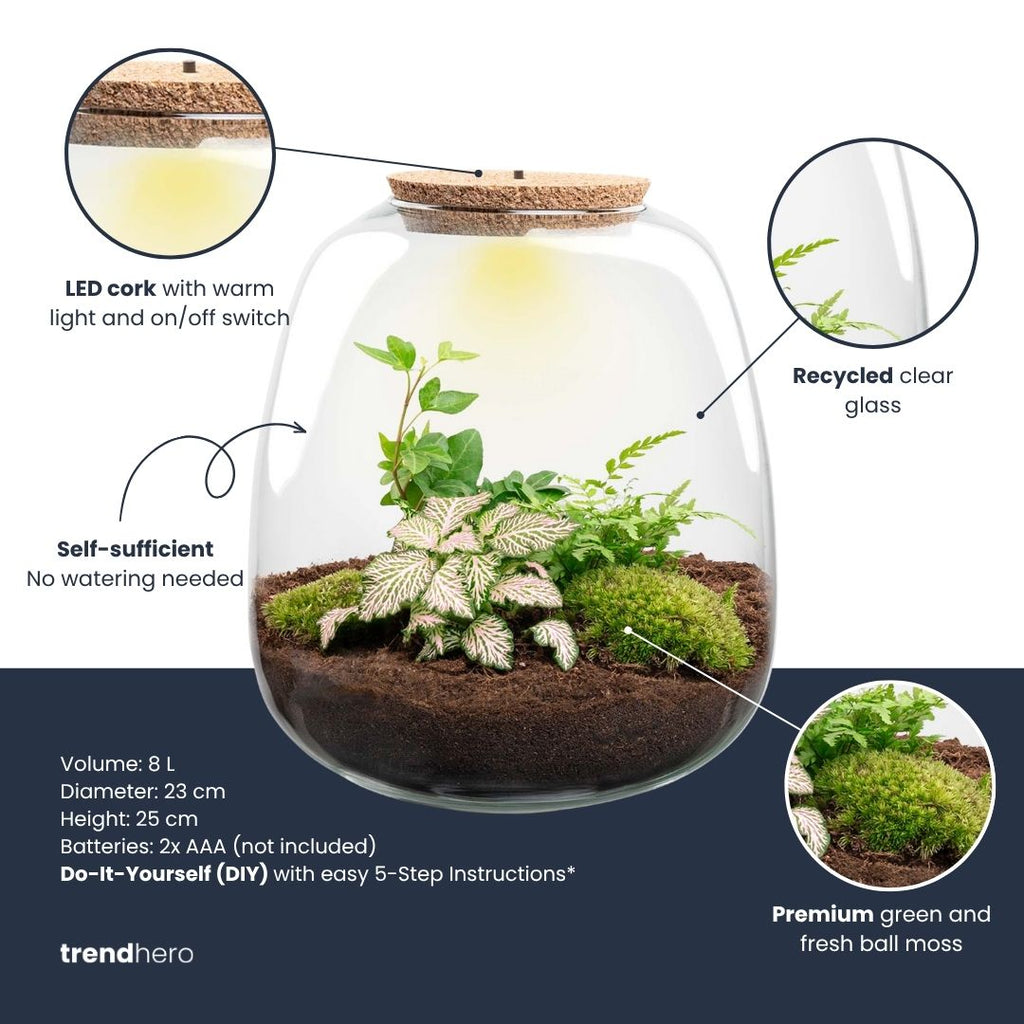 Emma - Hedera Red - Terrarium with light - Bottle garden DIY kit - Ø 23 cm ↑ 25 cm